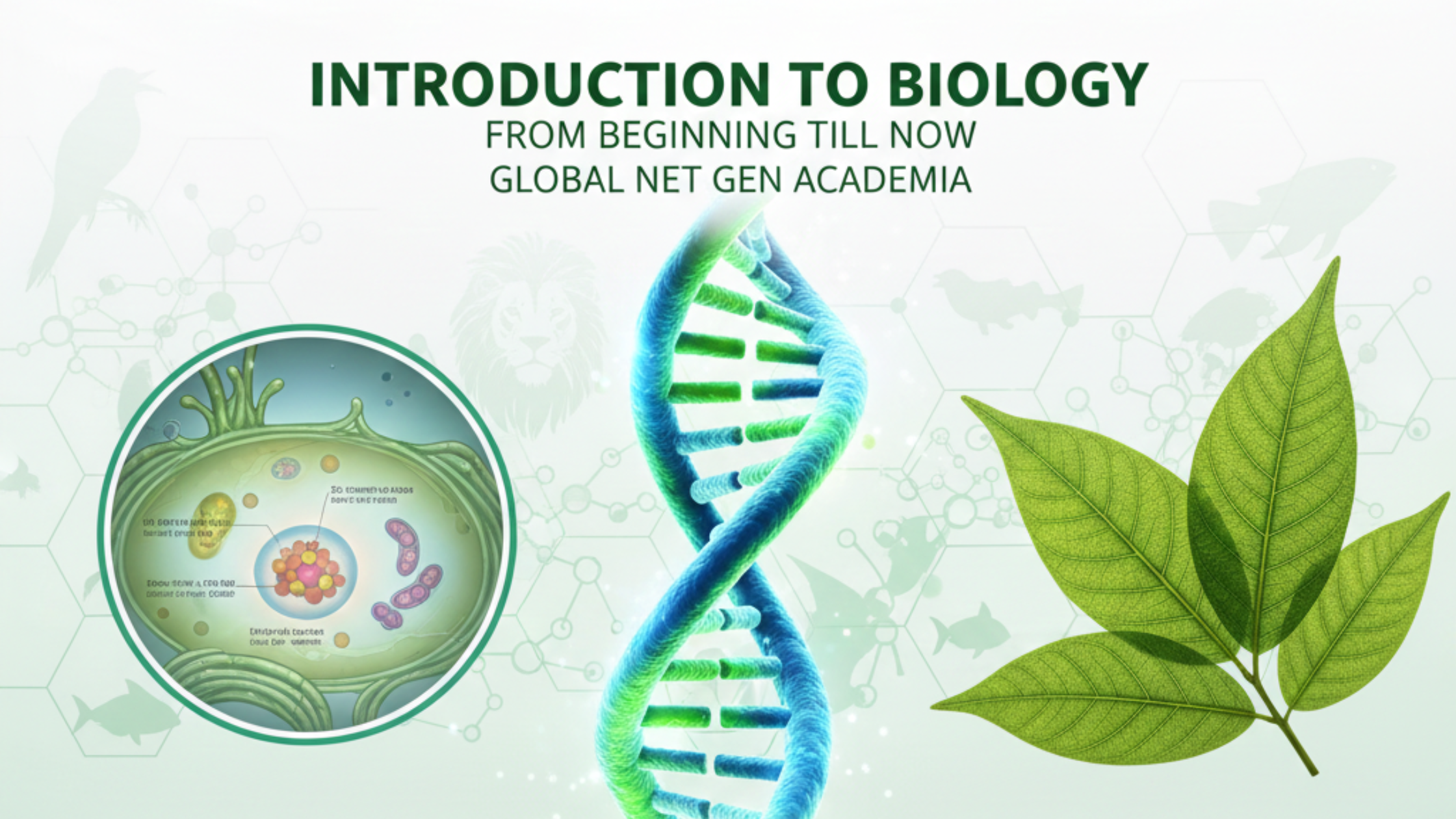 Global nextgen academia